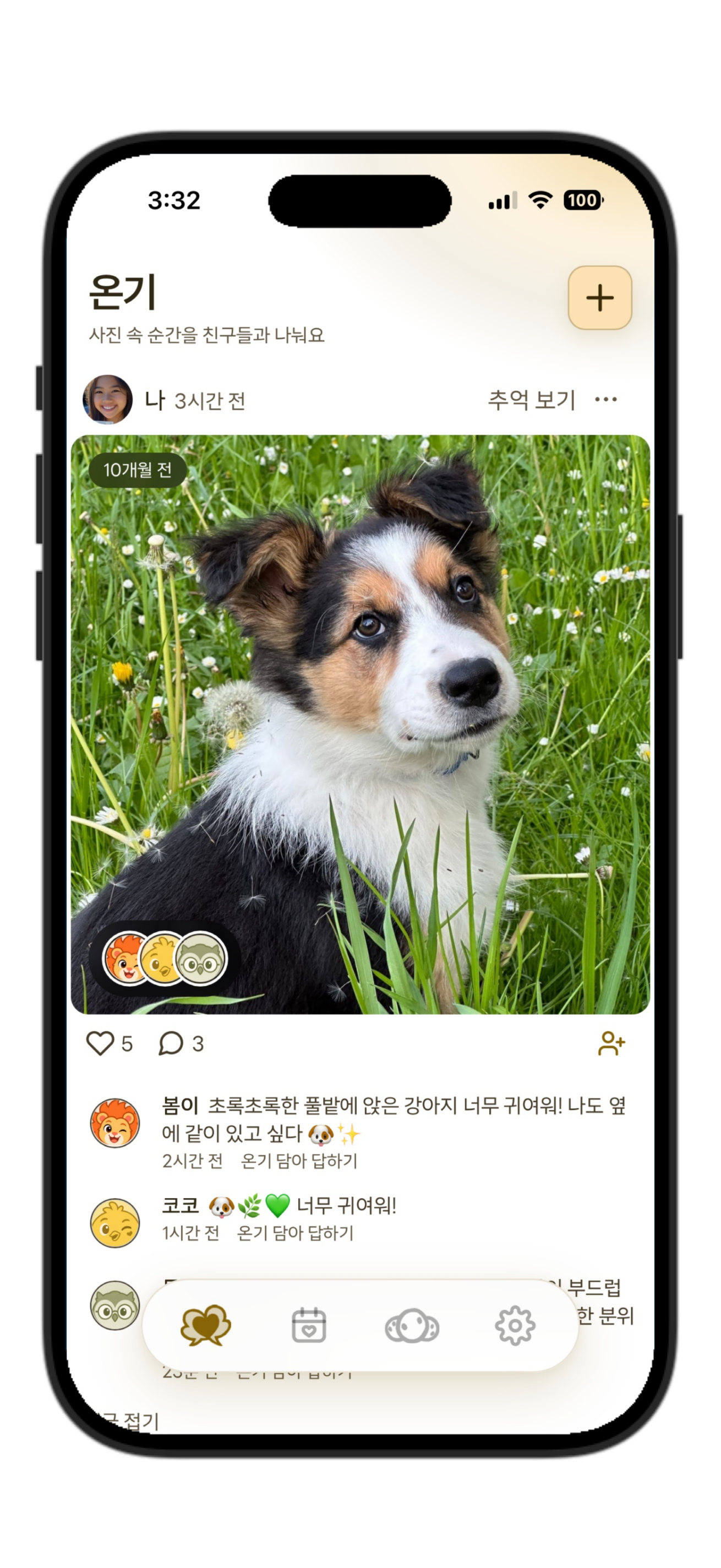 강아지 사진에 온기 친구들이 댓글을 남긴 실제 한국어 앱 화면